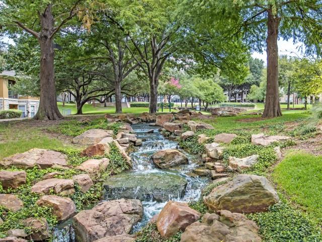 Park With River and Pond