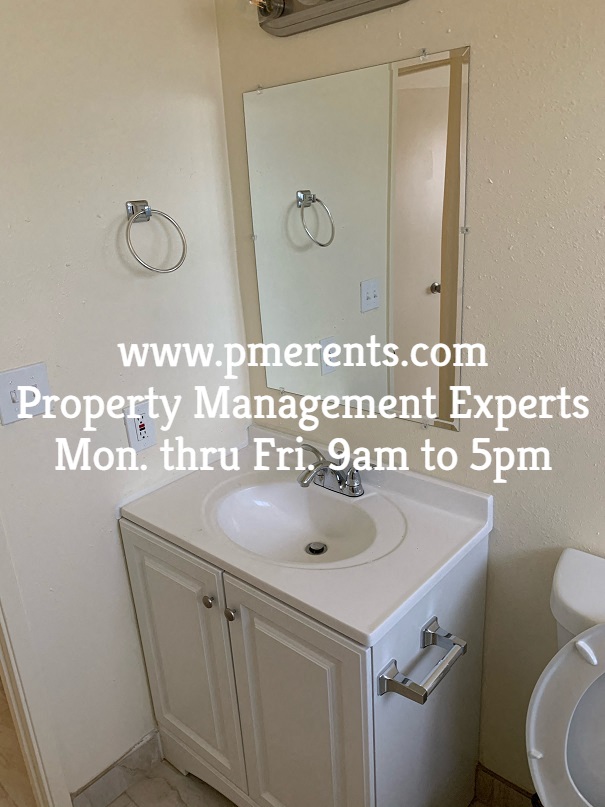 a bathroom with a sink and a mirror and a toilet