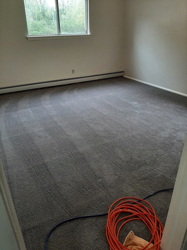 A room with a grey carpet and a window.