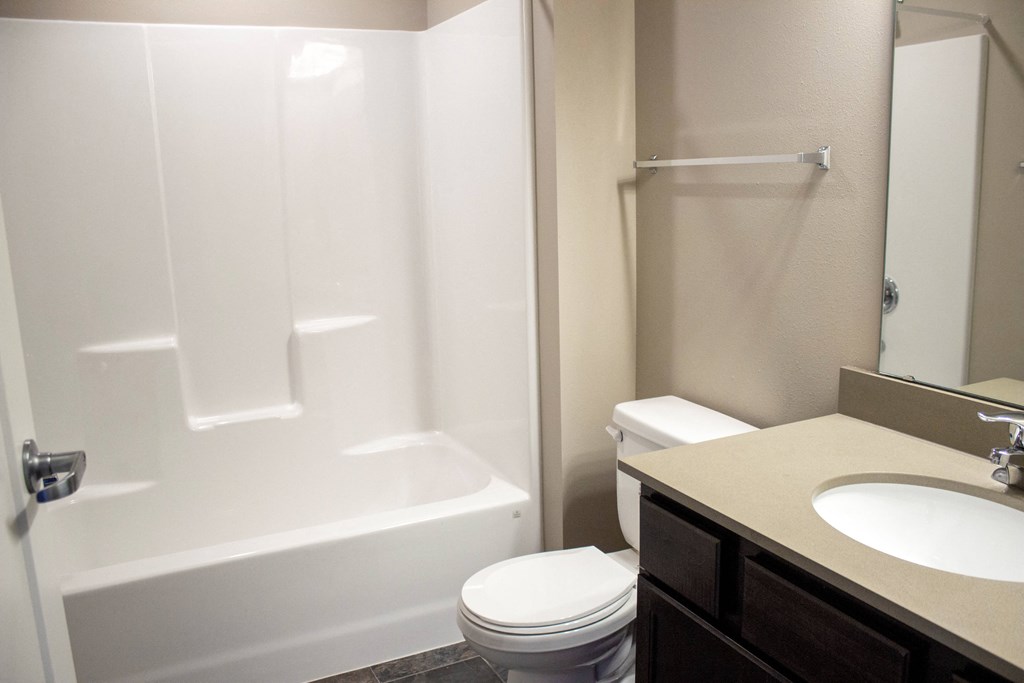 a bathroom with a shower toilet and sink and a mirror