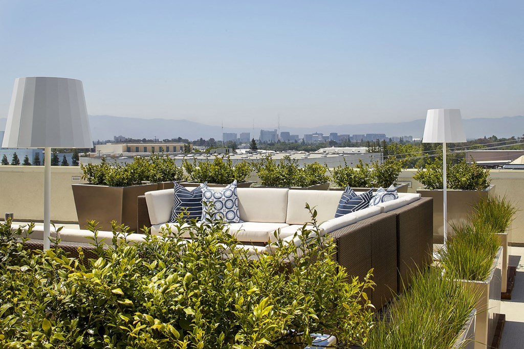 Rooftop seating area and view