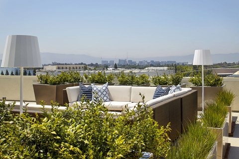 Rooftop seating area and view