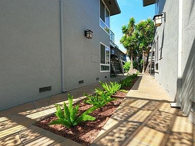 a garden of plants in front of a building