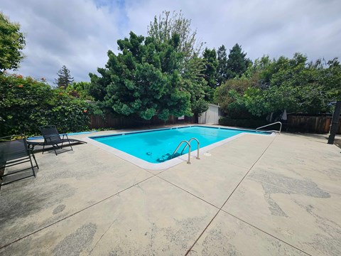 A pool surrounded by trees and a chair.