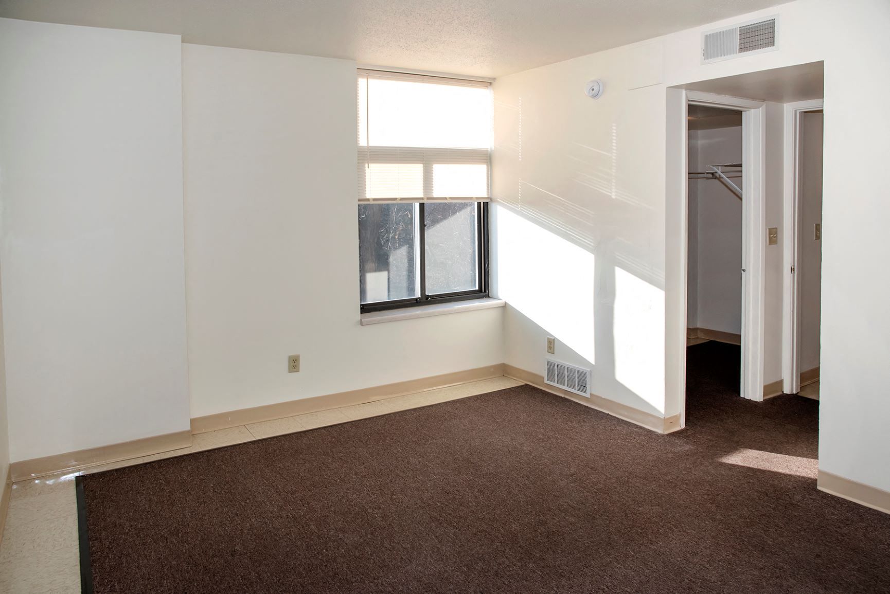 a living room with a carpet and a window