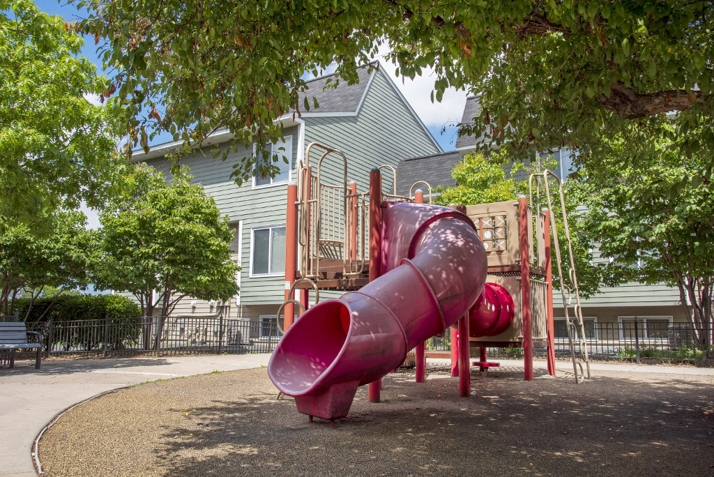 a slide at a playground in a park