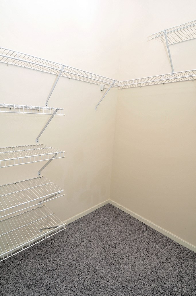 an empty closet with empty shelves in a room with white walls and carpet