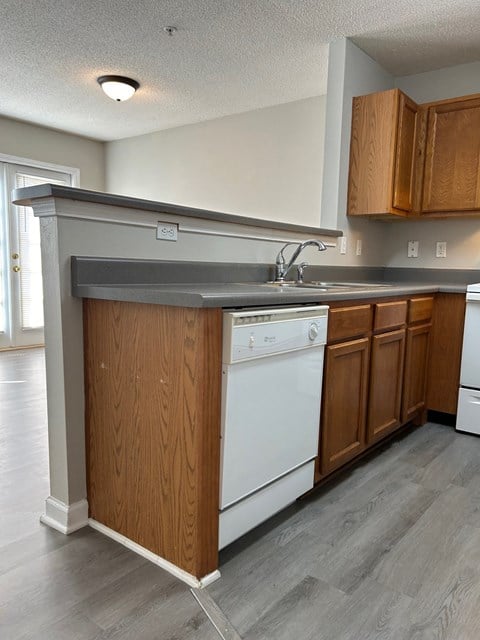 a kitchen with a white dishwasher and a counter top