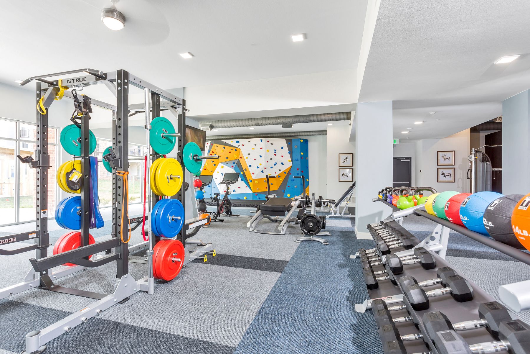 Westwood Green Apartments Fitness Center Weight Room