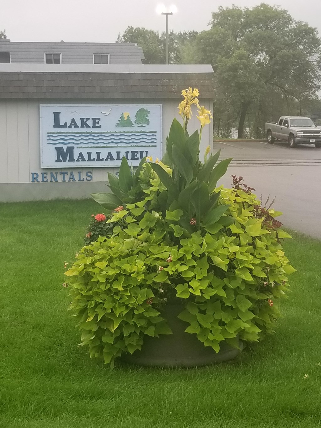 a plant in front of the lake rentals sign