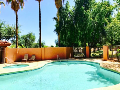 A pool surrounded by trees and a wall.