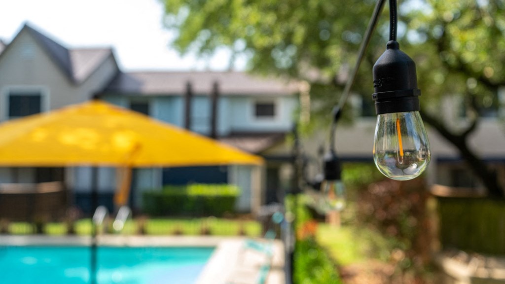 pet-friendly apartments for rent in austin with a pool