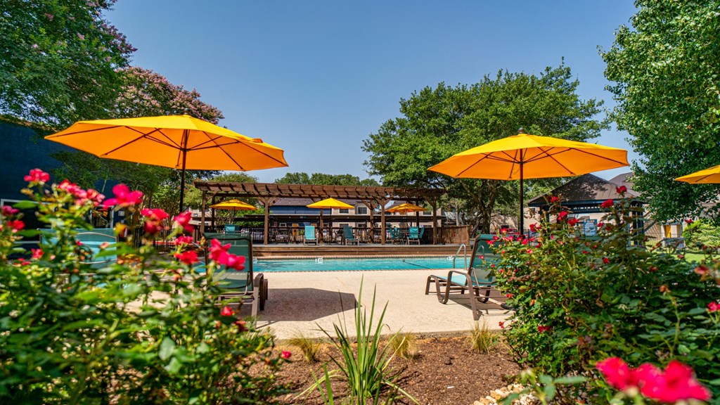 pool apartments in austin