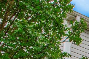 Chapel Walk Apartments | Apartments in Greensboro, NC