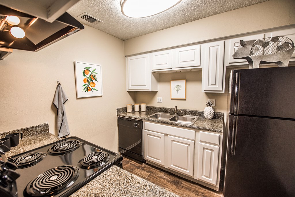 a kitchen with a stove and a sink and a refrigerator
