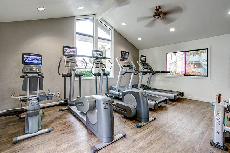 the gym has plenty of cardio equipment and a large window