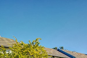 Rent Luxury Apartments In Fremont Ca Verified Listings Rentcafe