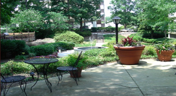 1861 Clairmont Road Studio-2 Beds Apartment for Rent - Photo Gallery 6