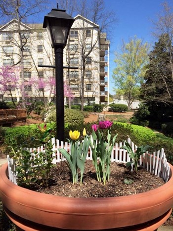 1861 Clairmont Road Studio-2 Beds Apartment for Rent - Photo Gallery 5