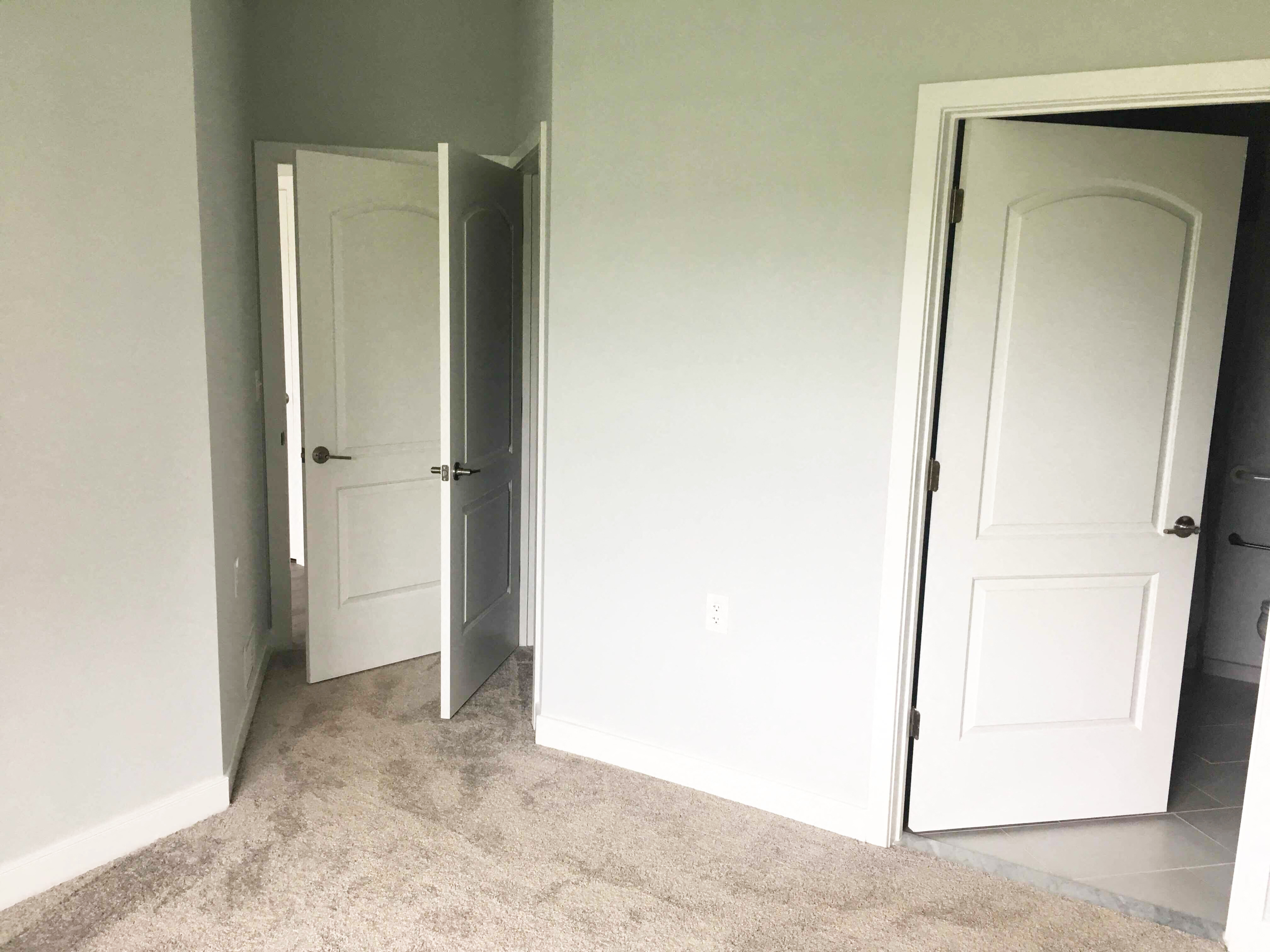 Carpet in living spaces