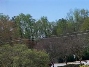 Ariel view of the pool and clubhouse