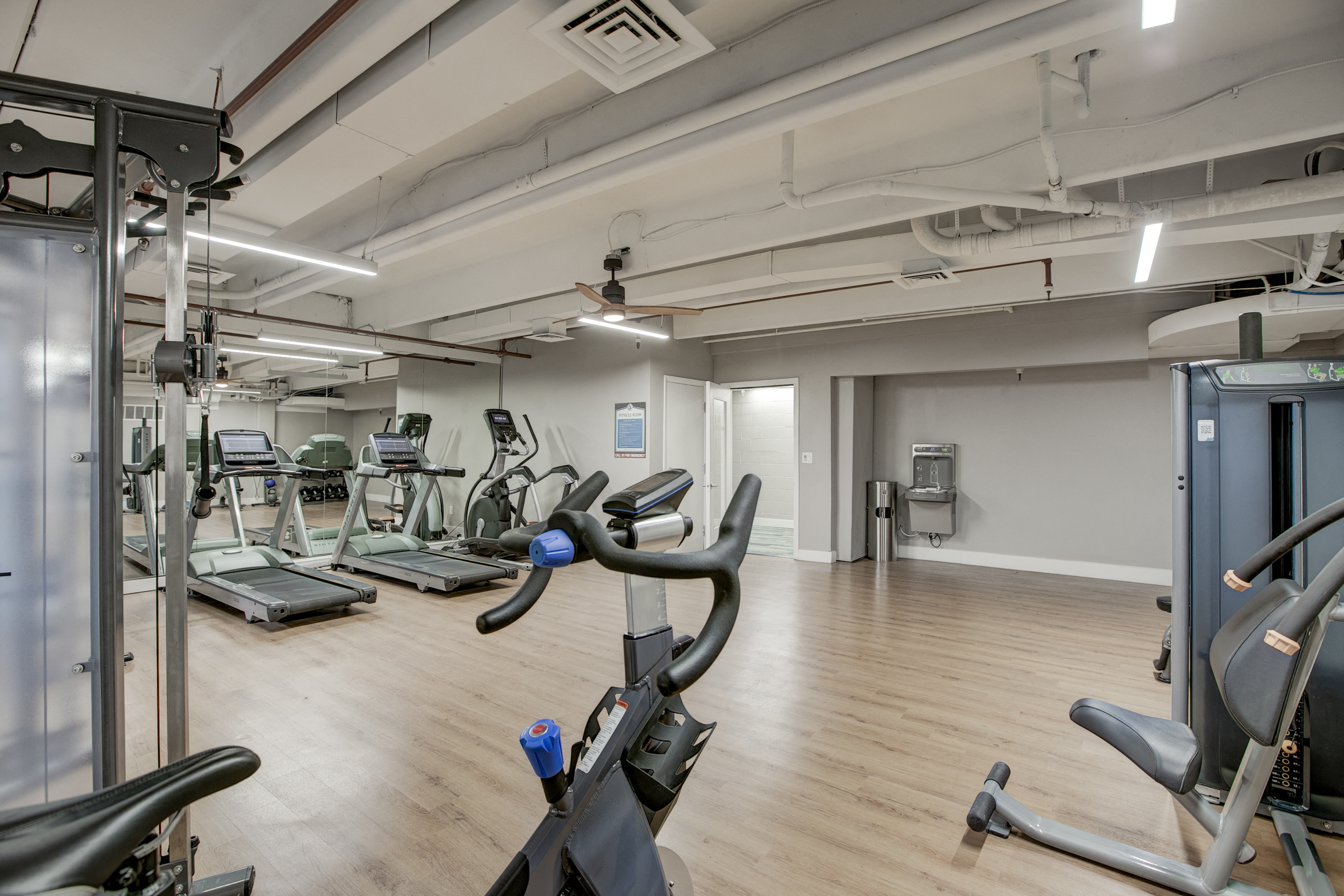 Photos and Video of Henley and Remy in Boulder, CO