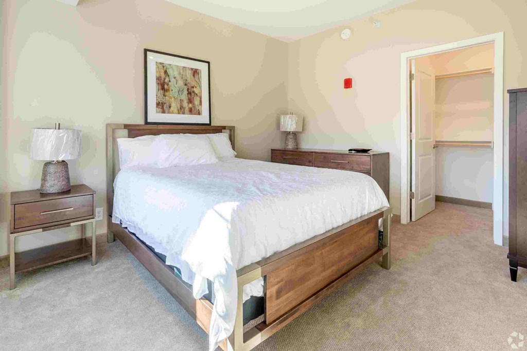 a bedroom with a bed and a closet