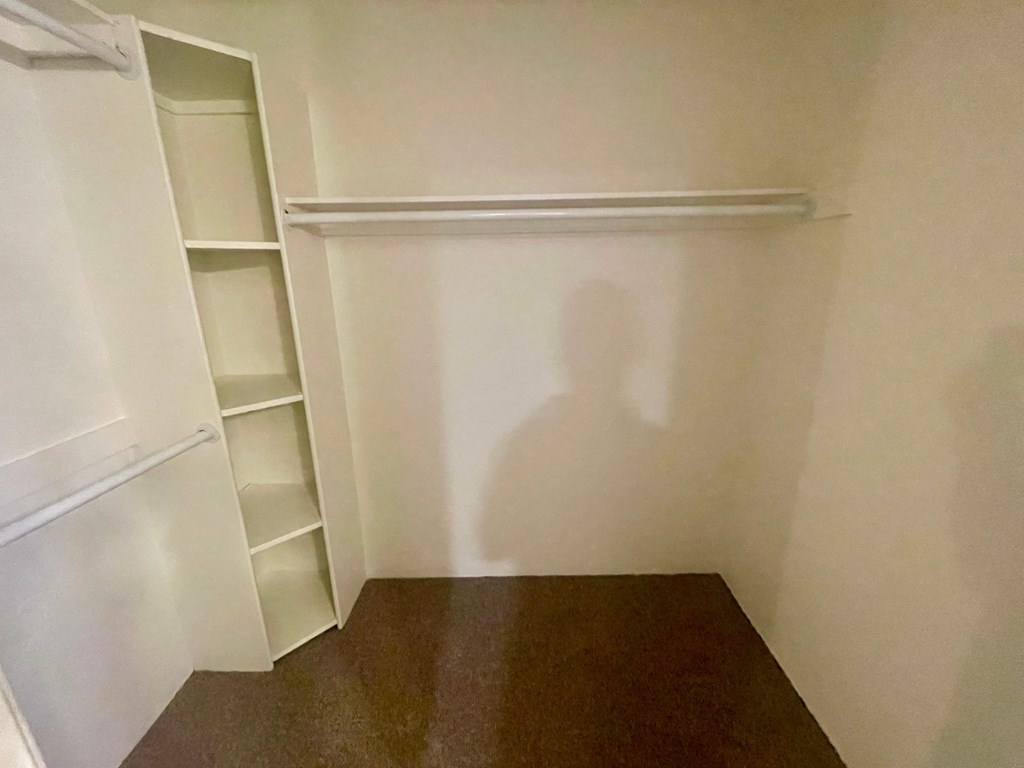 a closet with shelves and a shadow of a person on the wall