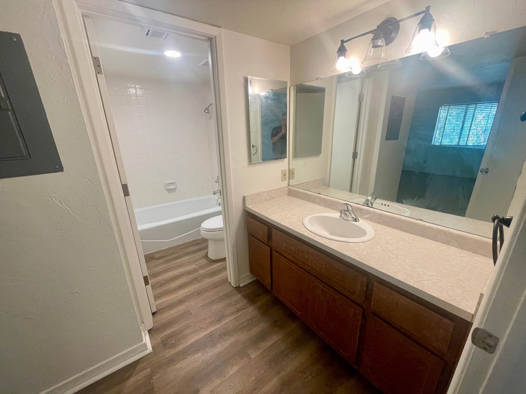 a bathroom with a sink and a toilet and a mirror