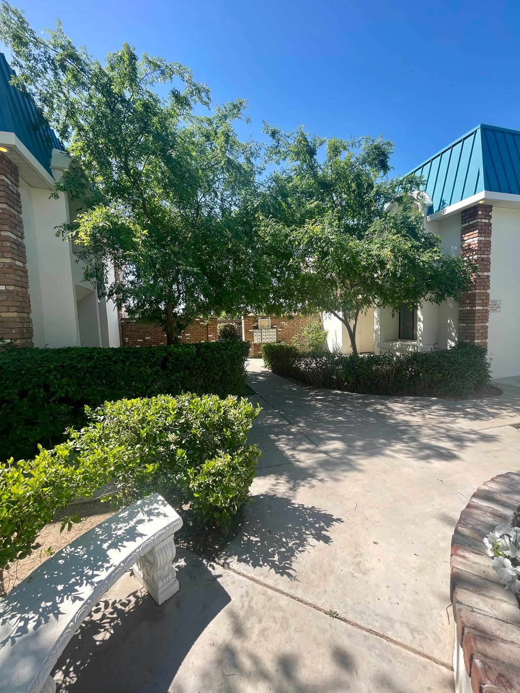 a sidewalk in front of a building with trees and a bench