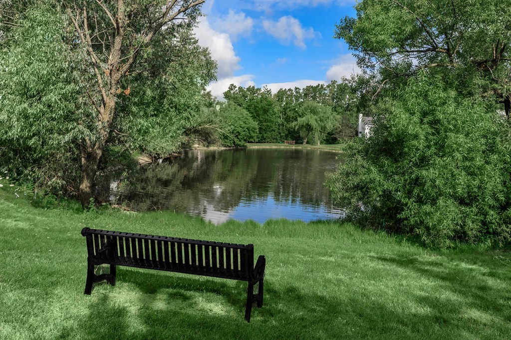 a park bench sitting in front of a pond