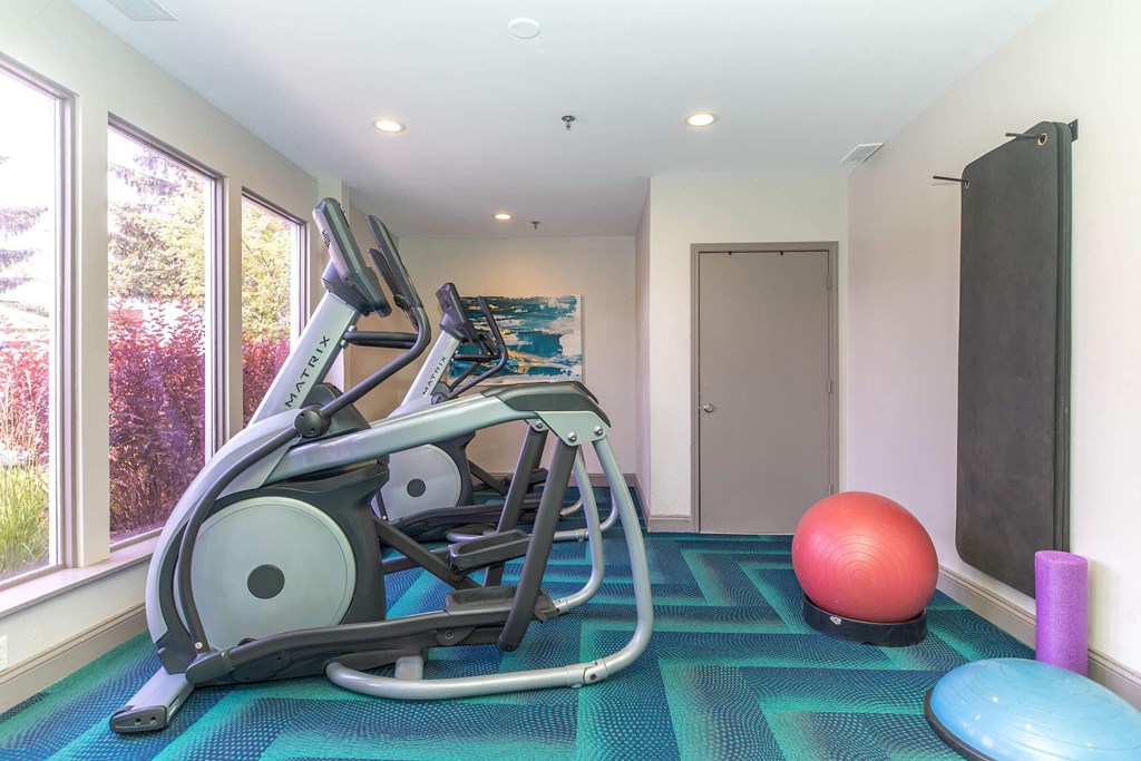 a gym in the home of person