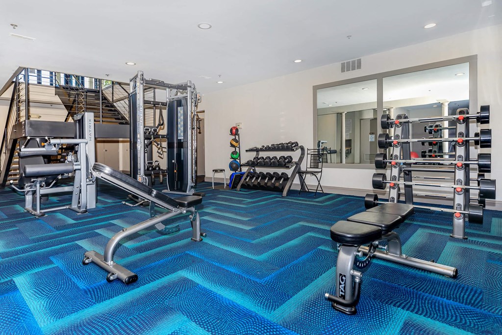 a gym with weights and cardio equipment on a blue rug