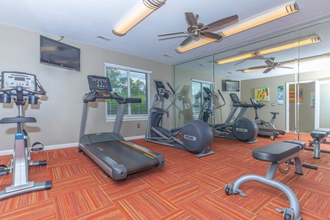 a gym with cardio equipment and mirrors on the wall