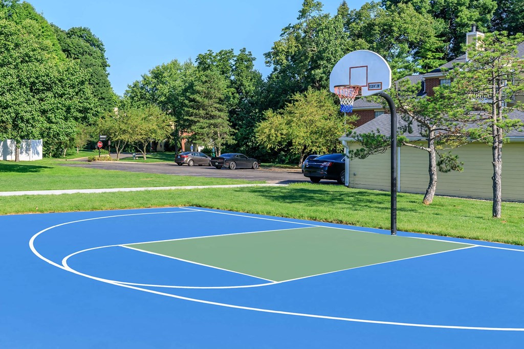 a blue basketball court in a backyard with trees