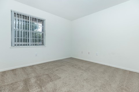 a room with carpet and a window