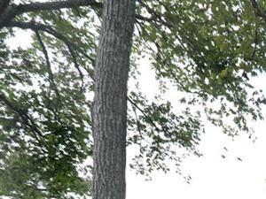 Photos And Video Of Gateway At Lake Jackson In Lake