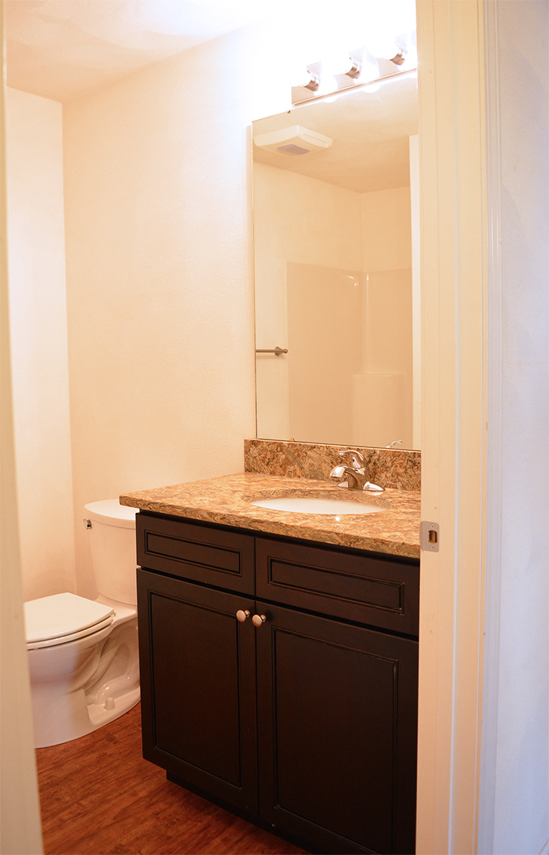 dark bath vanity with brown top