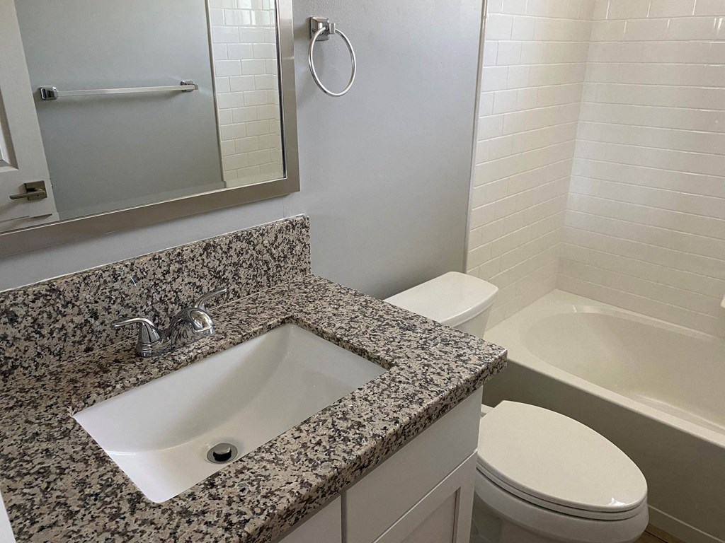 a bathroom with a sink and a toilet and a mirror