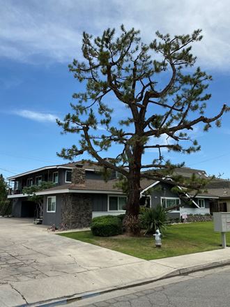 a large tree in front of a house