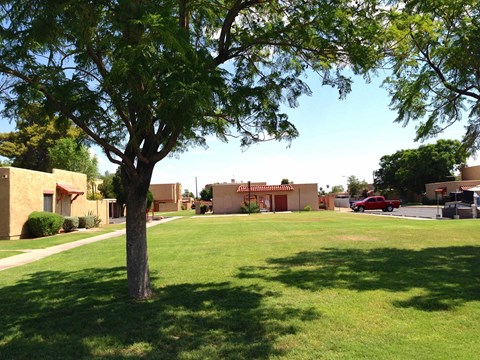 A tree in a grassy area in front of a building.