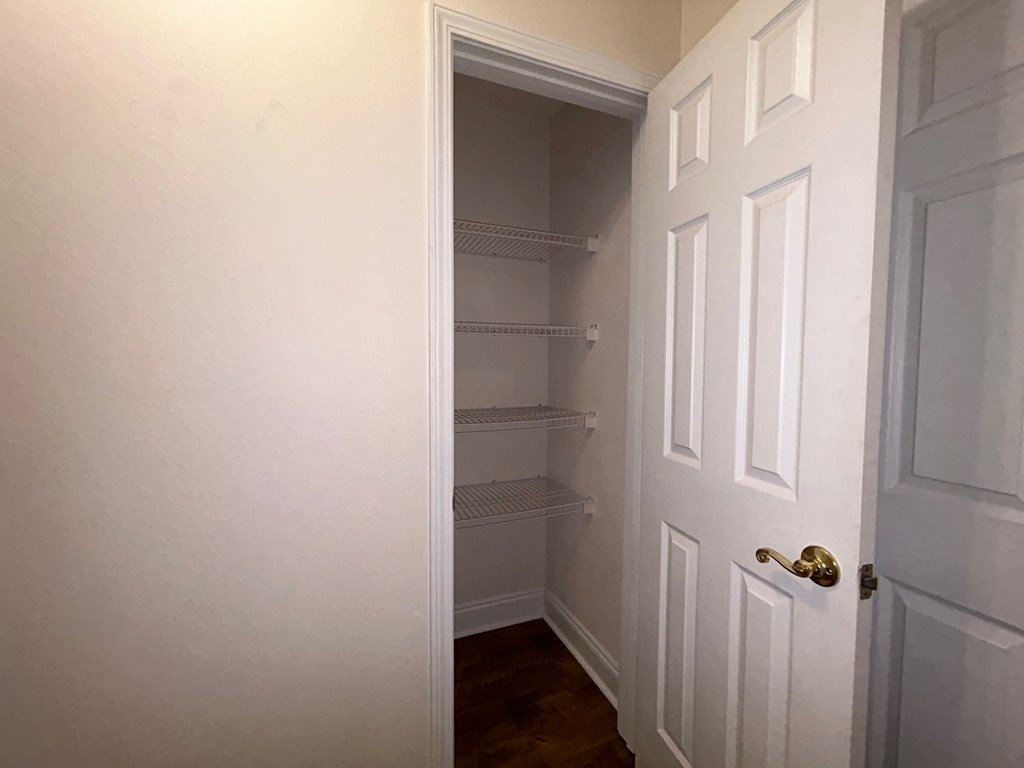 A white door with a gold handle is open to a pantry.