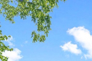 100 Best Apartments In Riverdale Ga With Photos Rentcaf 233