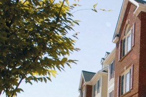 Downtown Riverwood - Photo Gallery