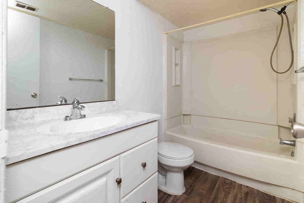 a bathroom with a sink and a toilet and a bath tub