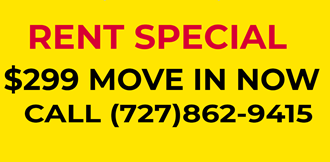 a yellow background with the text rent special 399 move in now call