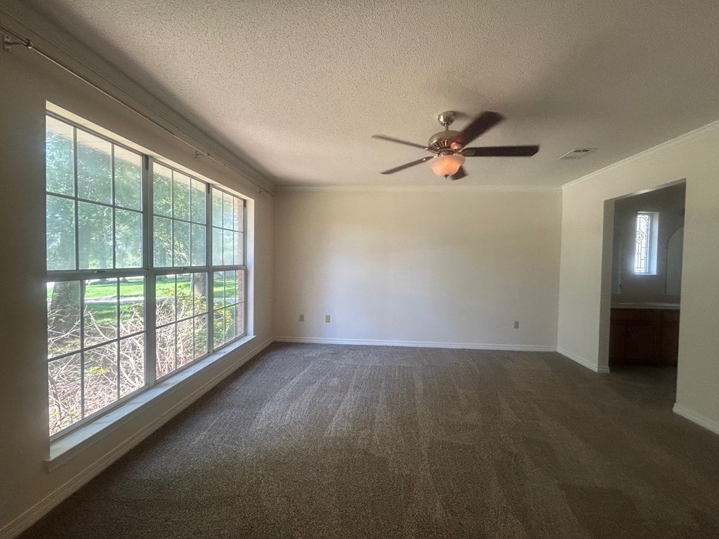 A room with a ceiling fan and carpeted floor.