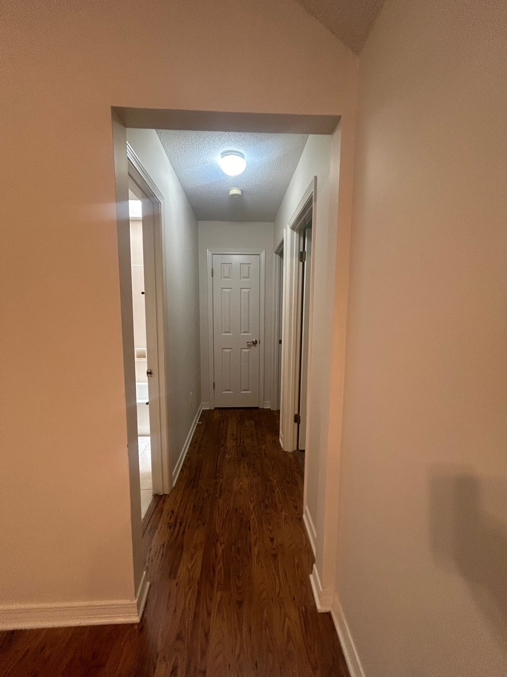 A hallway with a white door and a light on the ceiling.