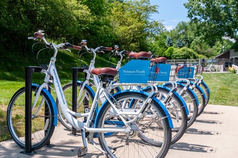 a row of blue bikes parked on a sidewalk