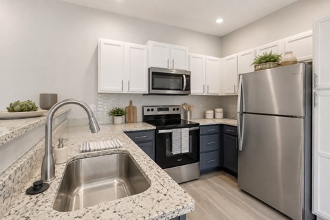 300 Caughman Farm Ln 2 Beds Apartment for Rent